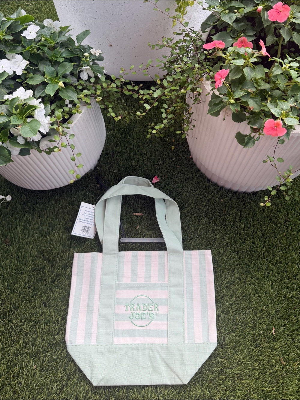 💚 Trader Joe’s Summer 2026 Striped Mini Canvas Tote – Seafoam Green | NWT |Viral